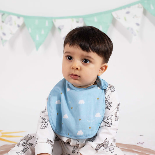 Organic Bibs (Set of 2)- The Little Prince