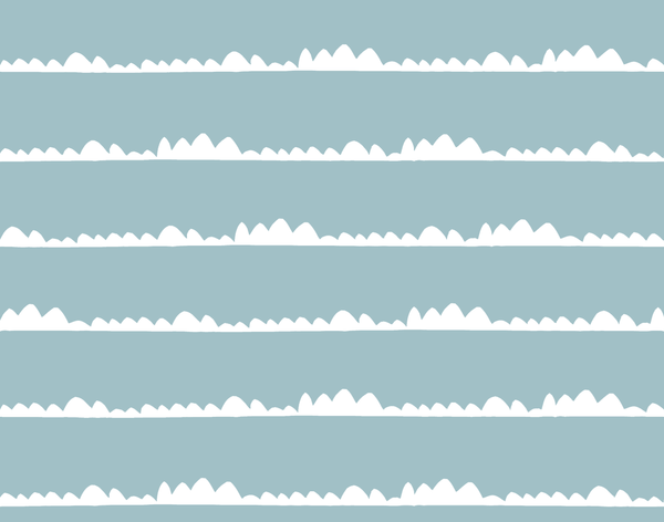 Organic Washcloths (Set of 2)- Traffic Jam