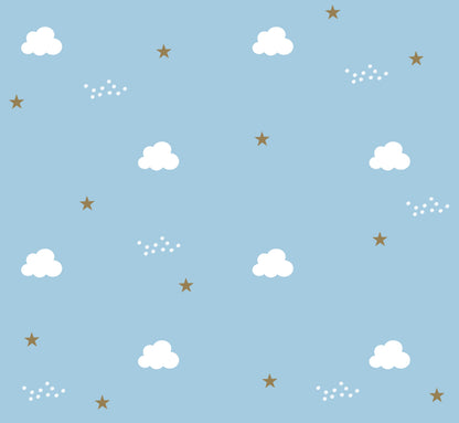 Organic Burp Cloths (set of 2)- The Little Prince