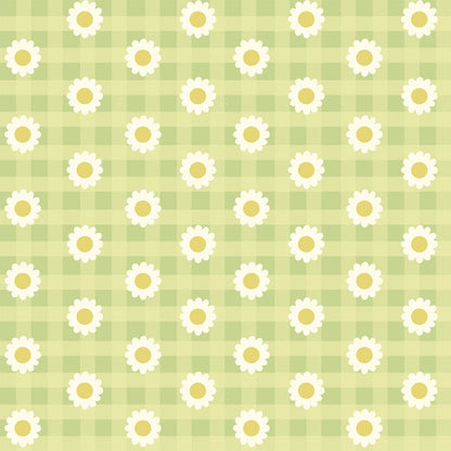 Girls Co-Ord Set- Green Ghingham