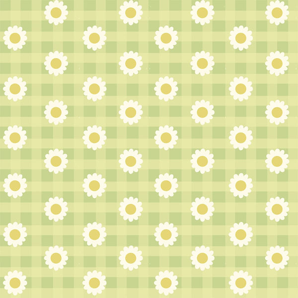 Boys Co-Ord Set- Green Ghingham