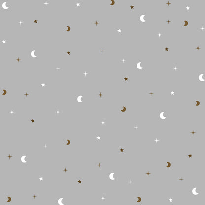 Organic Burp Cloths (Set of 2)- Starry Nights